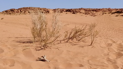 Wadi Rum Vale-09