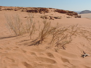 Wadi Rum-33