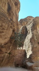 Petra Vale-06