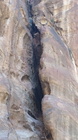 Petra Vale-25