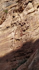 Petra Vale-29