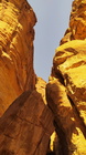 Petra Vale-42