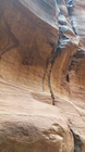 Petra Vale-45