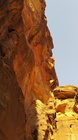 Petra Vale-50
