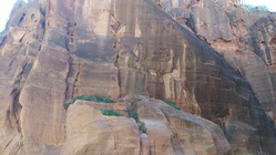 Petra Vale-61