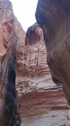 Petra Vale-63