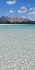 Cala Brandinchi, 2024