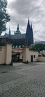 IMG 20240516 101626 1