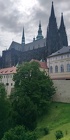 IMG 20240516 101758